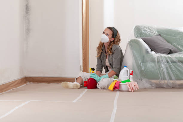 Reliable Attic Mold Removal contractor in Fords, NJ by WQB Mold Removal