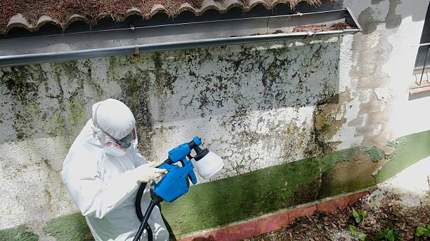 Top rated local Attic Mold Removal specialists in Fords, NJ